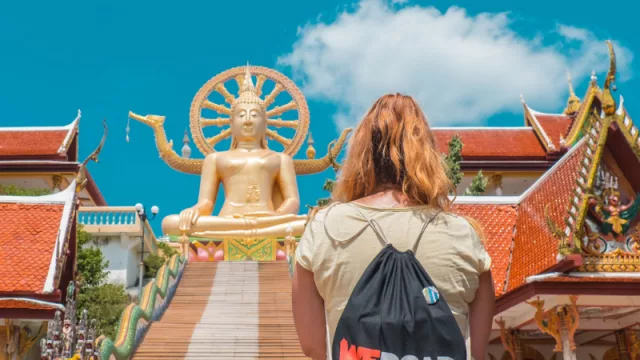 WeRoad piensa duplicar sus viajeros desde España el próximo año (cómo funciona su “fórmula mágica”)