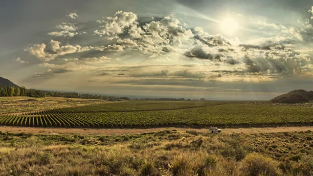 Llega una misión comercial de alimentos argentinos a la ciudad de Madrid (los recibe Ricardo Alfonsín)