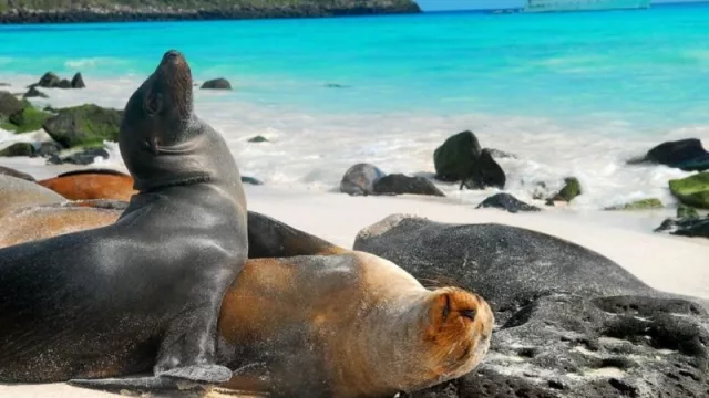 Ecuador y Galápagos, un destino turístico imprescindible que puedes acceder desde Miami (y desde toda América)