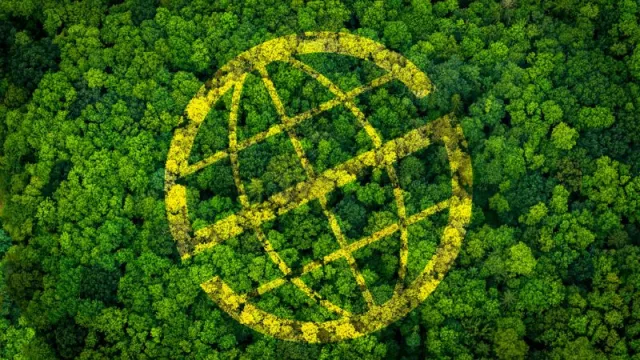 Prosegur y Prosegur Cash refuerzan su compromiso con el medio ambiente con un proyecto de compensación de emisiones en Brasil
