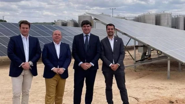 Endesa X desarrolla una planta fotovoltaica para Bodegas Fontana (quien producirá con esta vinos sostenibles con energía solar)