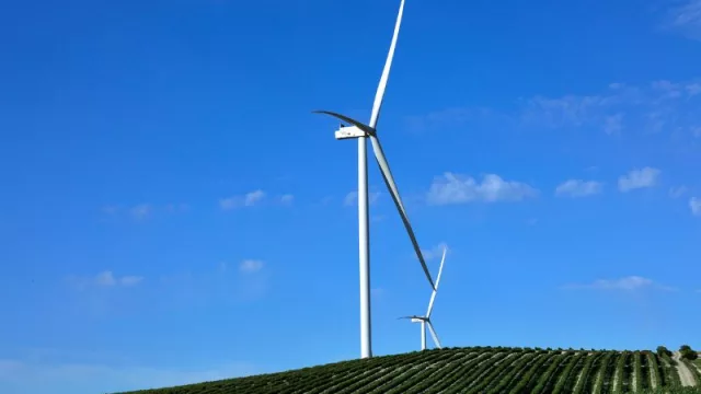 La fuerza del viento impulsa la energía verde en Sevilla: Verbund Green Power Iberia y Capital Energy inauguran el parque eólico Loma de los Pinos
