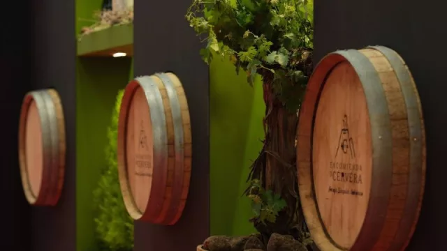 Cooperativas estiman una cosecha de 20 millones de hectolitros, un 12% menos de vino y mosto en C-LM