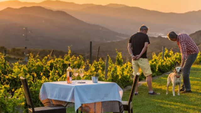 Razones para viajar a la Costa Brava y el Pirineo de Girona: las experiencias enogastronómicas son una de ellas