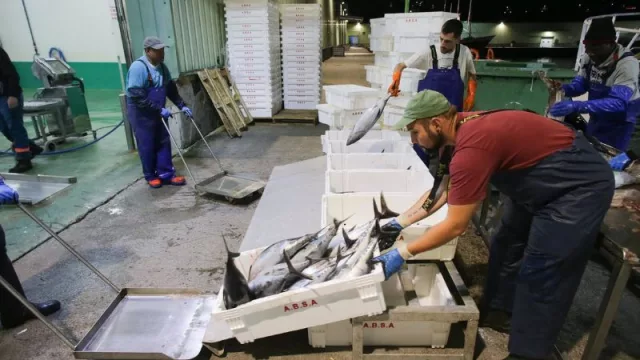 El Consorcio para Innovación Pesquera se suma a un proyecto para transformar la cadena de valor del pescado