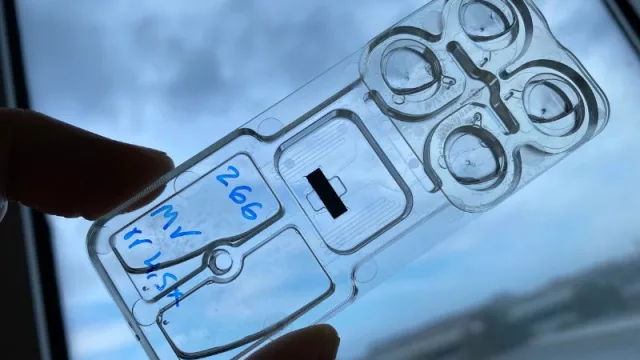 Agència Valenciana de la Innovació financia un nuevo sistema detección de bacterias para la industria agroalimentaria (más rápido, eficaz y económico)