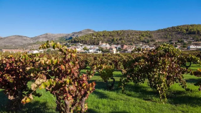 Un millar de entidades concurren a la segunda convocatoria de ayudas de 'Experiencias Turismo España'