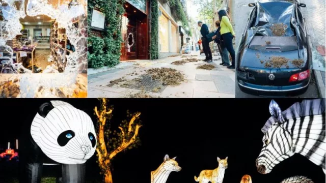 Se revela el misterio: no, no era un elefante por Madrid, era "Brilla Madrid Zoo" (una nueva exhibición de animales luminosos que llega por primera vez a España)