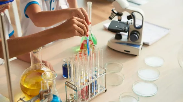 Un total de 30 proyectos de investigación de la Comunitat Valenciana optan a los Premios Sapiència (para despertar vocaciones científicas entre los jóvenes)