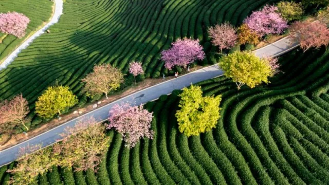 Eviden lanza “EcoDesignCloud”, un algoritmo de IA que calcula el impacto medioambiental (de cualquier producto que se diseñe)