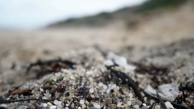 Bruselas alerta sobre la amenaza para el medio marino y la pesca (debido al vertido de pélets en las costas gallegas)