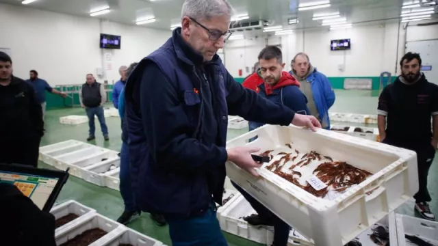 La Xunta considera "una discriminación injustificable" que baje el IVA del aceite (y no en carne y pescado)