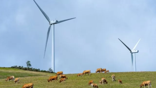 Dos parques eólicos de Acciona Energía son protagonistas de la primera Guía de Ecoturismo Eólico en España
