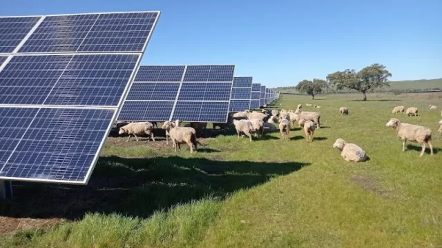 Diez datos que demuestran que la energía solar es una oportunidad para España