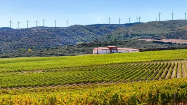 El Coto de Rioja obtiene el sello sostenible SWfCP por su ambicioso plan de actuación medioambiental