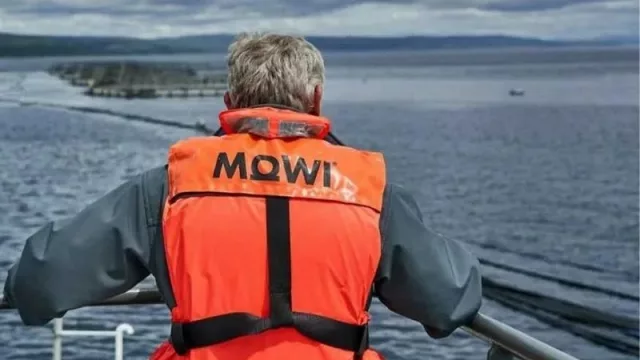 Mowi cierra 2023 con una facturación de más 5.500 millones de euros (y una producción de 474.664 toneladas de salmón)