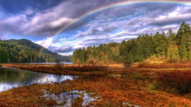Para celebrar el Día de la Tierra, World Rugby lanzó su iniciativa de "Rugby for Nature" (y herramientas para resaltar la importancia de la naturaleza en este deporte)
