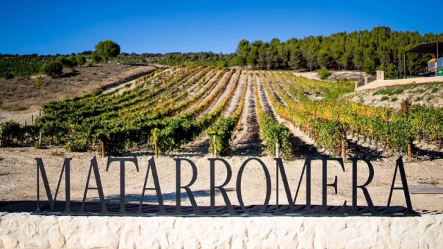 Bodega Matarromera ha sido seleccionada por Alltech Crop Science para trabajar en el futuro de agricultura sostenible