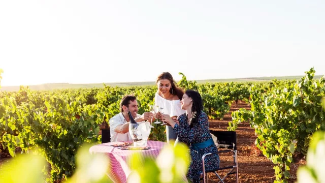 La Ruta del Vino Ribera del Guadiana, renueva su certificación