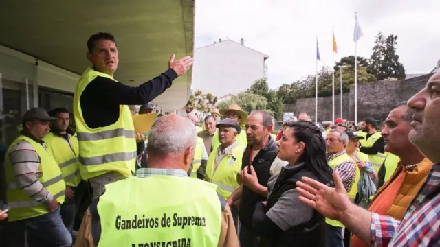 Productores de Ternera Gallega inician una huelga de entrega a mataderos de terneros por los bajos precios