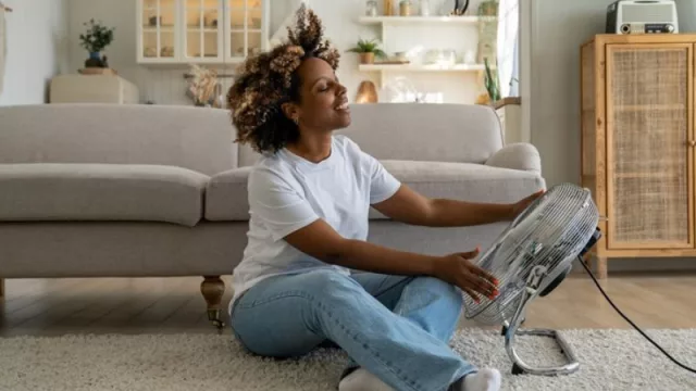 El 32% de demandantes de vivienda planean mudarse por temperaturas extremas (un 12% quiere buscar un clima más fresco y otro 12% quiere habitar en zonas con temperaturas más suaves)