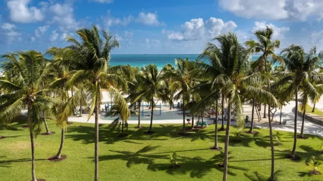 Lummus Park Beach: un oasis de diversión y naturaleza en el corazón de Miami (usualmente visto en TV y en series)