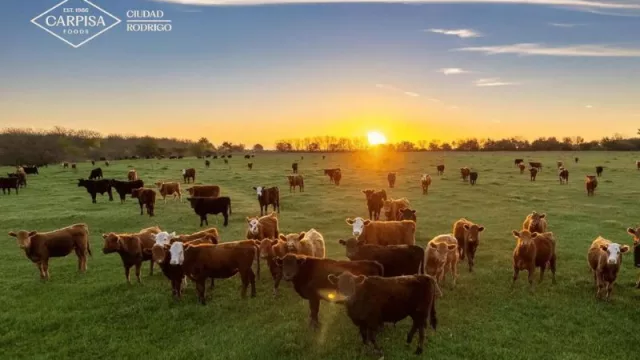 Carpisa Foods invierte 10 millones de euros en Ciudad Rodrigo en la adquisición de un matadero