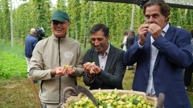 Hijos de Rivera presenta Lupia, fruto de 20 años de inversión en el cultivo del lúpulo