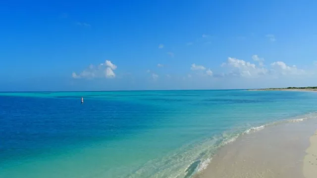 Dry Tortugas en Florida: un paraíso escondido entre el mar, la biodiversidad y la historia