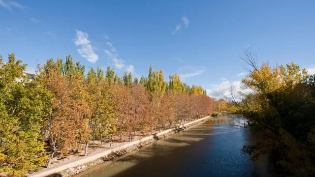 Aranda de Duero te invita a disfrutar de un auténtico capricho otoñal (ideal para esta época del año)