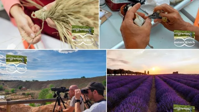 Las Vegas & Alcarria Madrileña acogerá el encuentro Naturewatch 2024