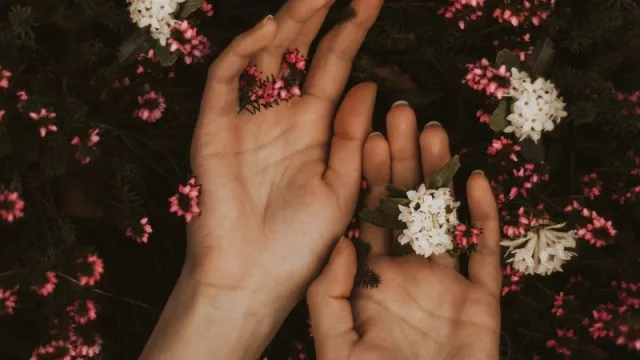 Satisfyer y la  creadora de Platanomelon.com LDPS firman acuerdo en defensa de la propiedad intelectual