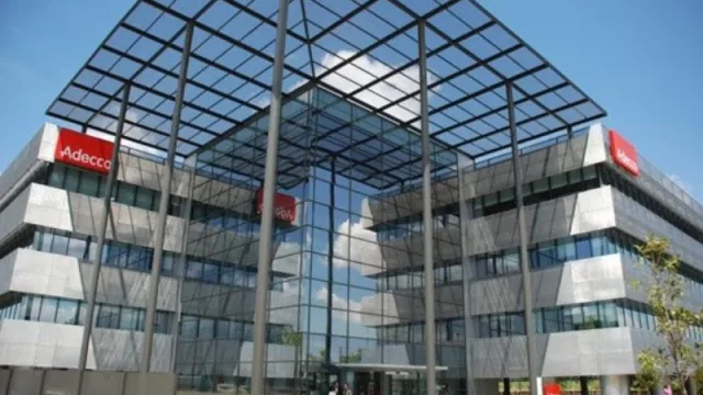 El 30% de los directivos planea aumentar su plantilla antes de terminar 2024 (con un alza de 6 puntos porcentuales)