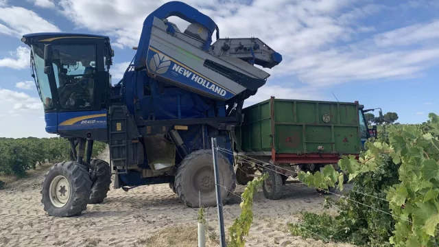 Industria adjudica 1,6 millones de euros a cuatro proyectos del Perte Agroalimentario (la mayoría son valencianos)