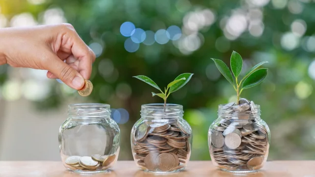 Empieza 2025 con buen pie: 5 consejos para ahorrar y vivir de forma más sostenible