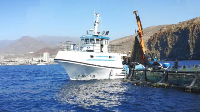 Canarias asigna 2 millones al sector pesquero y acuícola para afrontar el aumento de costos por la guerra en Ucrania