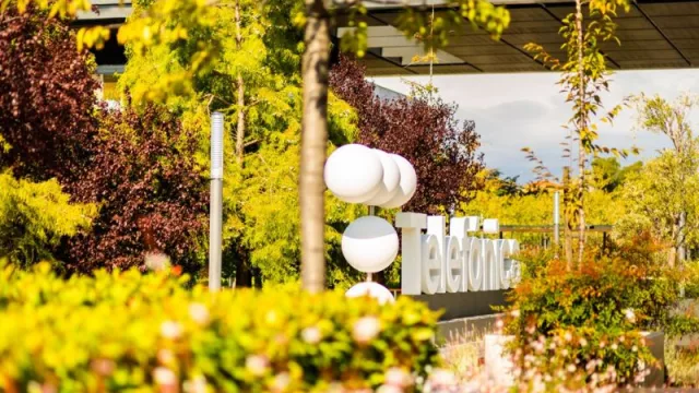 Telefónica consolida su liderazgo en gestión climática según CDP (año tras año, el operador es reconocido por su transparencia y compromiso con el planeta)