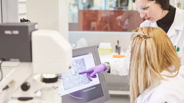 Philip Morris International reduce beneficios un 9,7% en 2024, con 6.795 millones de euros y anuncia dividendo