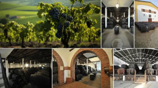 Bodegas Jesús Nazareo, el alma enoturística de Baena