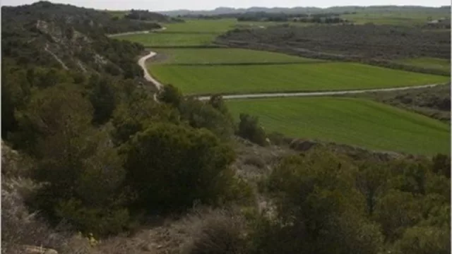 El Gobierno catalán destina 59,49 millones a las ayudas del Contrato Global de Explotación