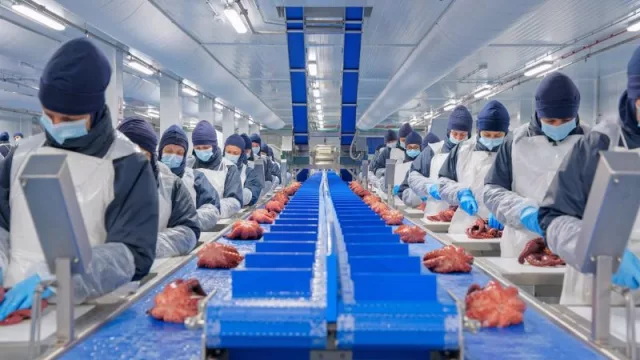 Profand, proveedor de Mercadona, eleva un 8% su facturación en 2024 y logra por primera vez 1.000 millones