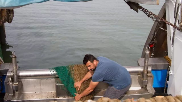 Cofradías de Pontevedra muestran su rechazo a geolocalización que fija la UE por "atosigar" a flota artesanal