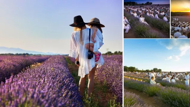 Brihuega y su Festival de la Lavanda: música, naturaleza y magia a solo 90 km de Madrid