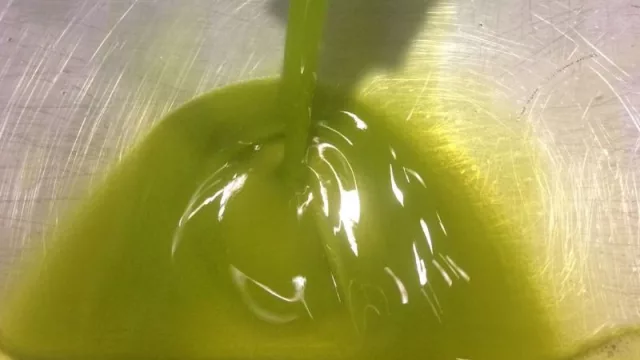 El 80% del aceite de oliva producido en la presente campaña ya está comercializado