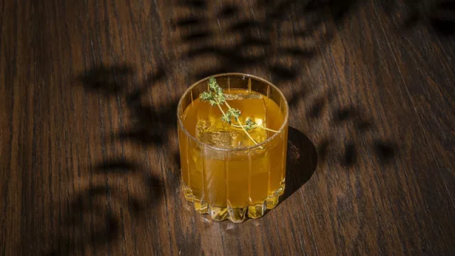 Begoña Rodrigo lanza en La Salita Cooktl, "la coctelería más viva en el corazón de Valencia"