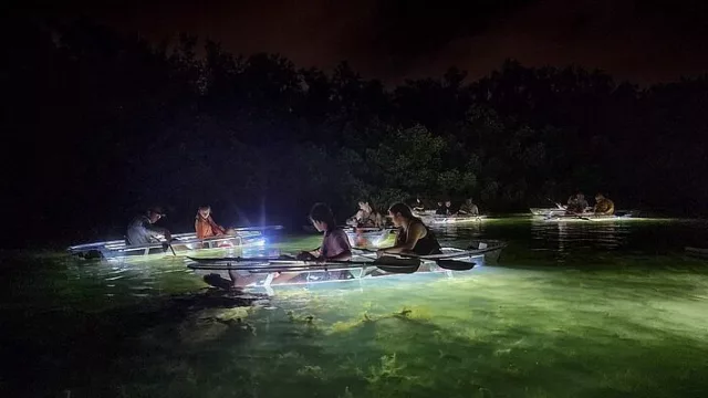 Jim Neville Marine Preserve 2025: Millennials lo aman,  este lugar tiene más atractivos y sostenibilidad que destinos en Centroamérica y Europa