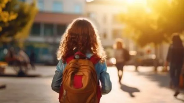 Las familias gastarán una media de 178 euros en las tiendas online para la “Vuelta al cole”