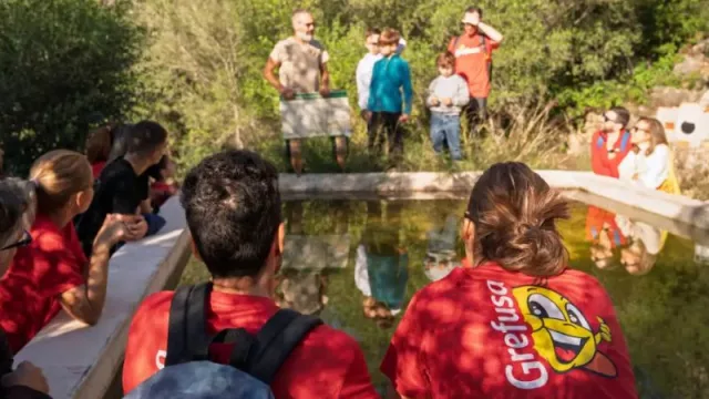El Grefubosque, el proyecto con impacto ambiental de Grefusa