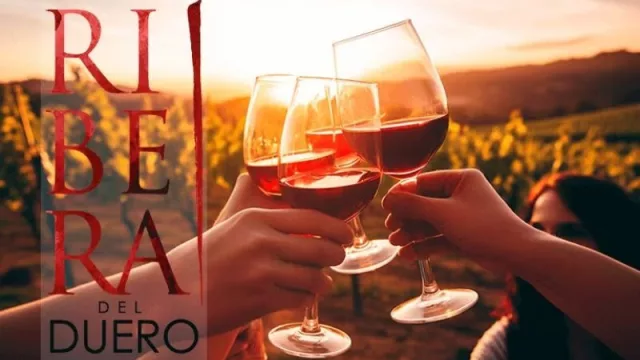 Ribera del Duero cierra 2025 con un crecimiento del 1,6% en ventas, acercándose a los 92,5 millones de botellas