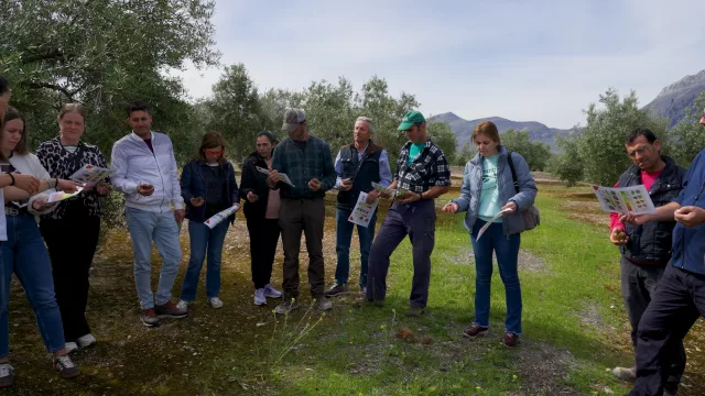 La Fundación PepsiCo lanza la segunda edición de VivaOliva para contribuir a la transformación del olivar de Jaén con agricultura regenerativa